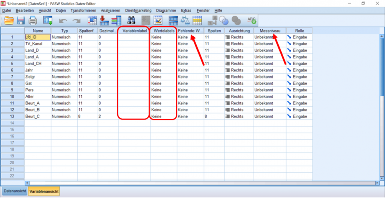 Konvertierung von Excel zu SPSS | Der Tabellenexperte