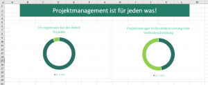 Zum Vergrößern bitte auf das Bild klicken Die beiden Ringdiagramme in der Rohfassung