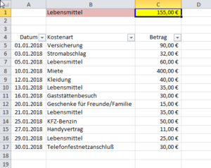 Zum Vergrößern bitte auf das Bild klicken Summe nach Kostenart