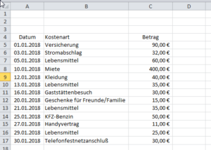 Zum Vergrößern bitte auf das Bild klicken Liste mit Kostenarten