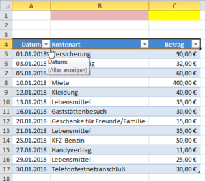 Zum Vergrößern bitte auf das Bild klicken Filter sind automatisch vorhanden
