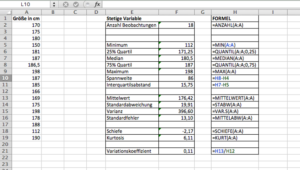Zum Vergrößern bitte auf das Bild klicken Das Excel Analyse Tool für quantitative Variablen