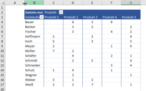 Zum Vergrößern bitte auf das Bild klicken Pivot-Tabelle mit Standard-Zahlenformat
