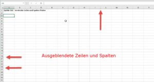 Zum Vergrößern bitte Bild anklicken Ausgeblendete Zellen sind schwer zu finden
