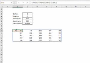 Zum Vergrößern bitte auf das Bild klicken Variable Eingabezellen