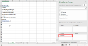 Zum Vergrößern bitte auf das Bild klicken Pivot-Tabelle zeigt alle Kontinente