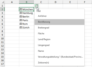Zum Vergrößern bitte auf das Bild klicken Datenfelder im Kontextmenü