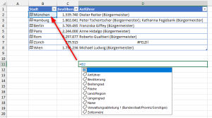Zum Vergrößern bitte auf das Bild klicken Manuelle Eingabe mit Zellbezug
