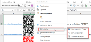 Zum Vergrößern bitte auf das Bild klicken Das Bild aus der Zelle holen