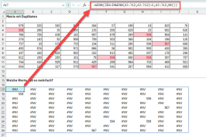 Zum Vergrößern bitte auf das Bild klicken Schritt 2: Nur mehrfache Werte anzeigen