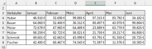 Zum Vergrößern bitte auf das Bild klicken Beispieltabelle mit Umsätzen nach Verkäufer und Monat