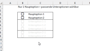 2 Haupt- und mehrere Unteroptionen