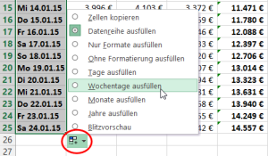 Zum Vergrößern bitte auf das Bild klicken Auto-Ausfüll-Optionen