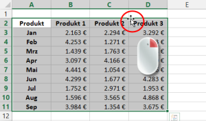 Zum Vergrößern bitte auf das Bild klicken Mit der rechten Maustaste festhalten...