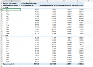 Zum Vergrößern bitte auf das Bild klicken Verdichtete Pivot-Tabelle