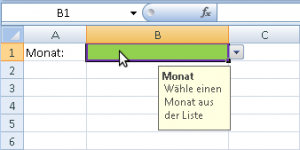 zum Vergrößern bitte auf das Bild klicken Eingabemeldung