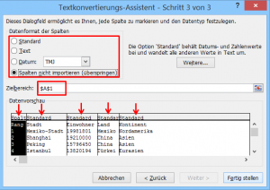 Zum Vergrößern bitte auf das Bild klicken Schritt 3: Datenformat